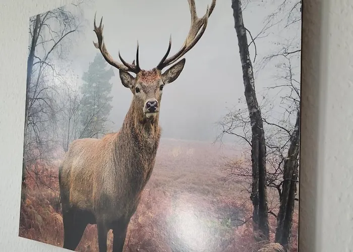 Гостевой дом Am Stadtholz